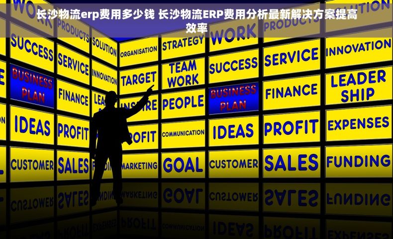 长沙物流erp费用多少钱 长沙物流ERP费用分析最新解决方案提高效率
