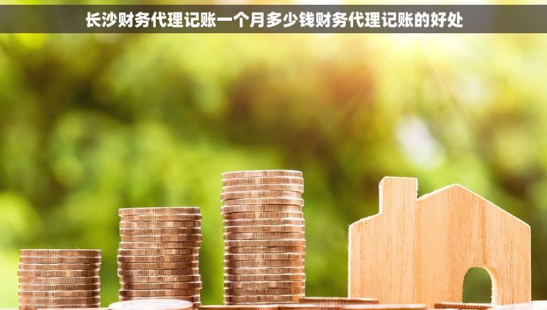 长沙财务代理记账一个月多少钱财务代理记账的好处