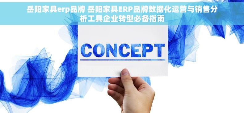 岳阳家具erp品牌 岳阳家具ERP品牌数据化运营与销售分析工具企业转型必备指南