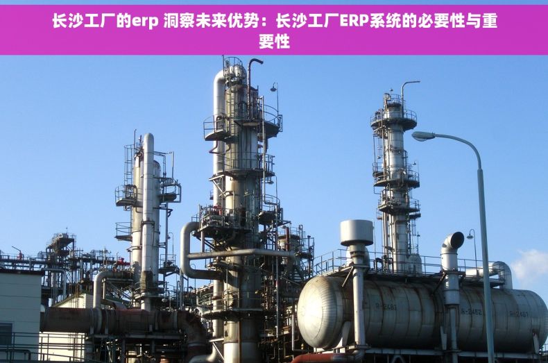 长沙工厂的erp 洞察未来优势：长沙工厂ERP系统的必要性与重要性