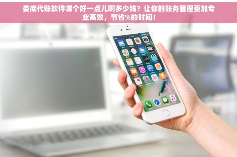 娄底代账软件哪个好一点儿啊多少钱？让你的账务管理更加专业高效，节省%的时间！