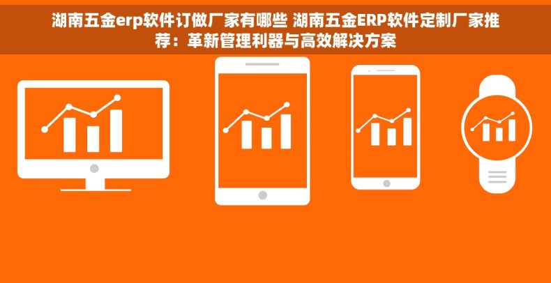 湖南五金erp软件订做厂家有哪些 湖南五金ERP软件定制厂家推荐：革新管理利器与高效解决方案