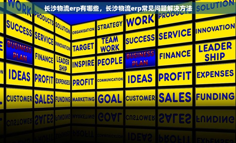 长沙物流erp有哪些，长沙物流erp常见问题解决方法