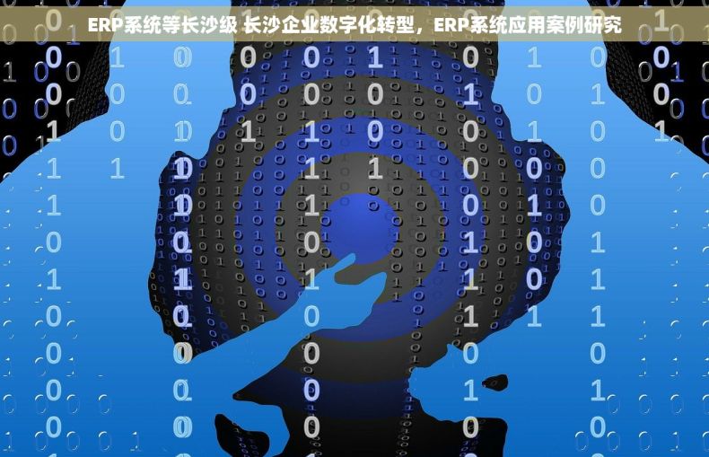 ERP系统等长沙级 长沙企业数字化转型，ERP系统应用案例研究