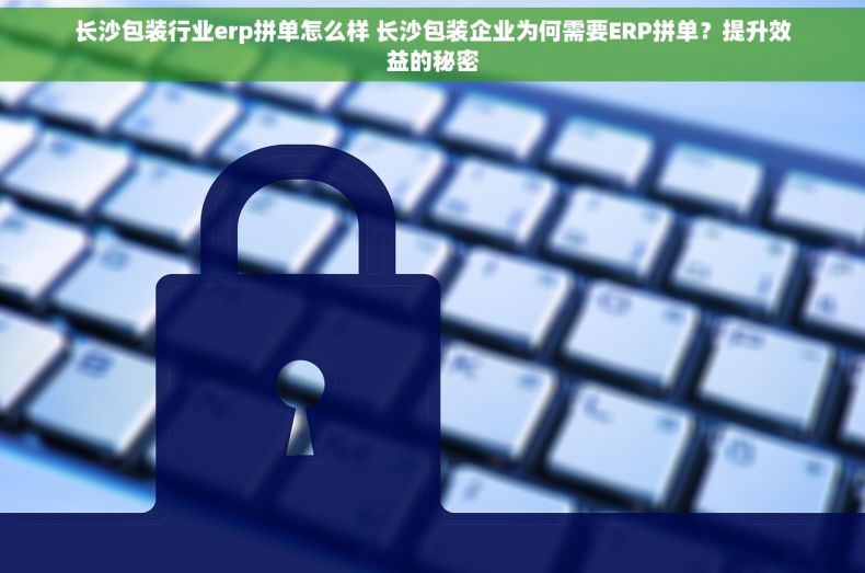 长沙包装行业erp拼单怎么样 长沙包装企业为何需要ERP拼单？提升效益的秘密