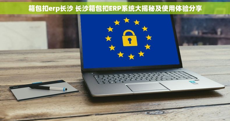 箱包扣erp长沙 长沙箱包扣ERP系统大揭秘及使用体验分享