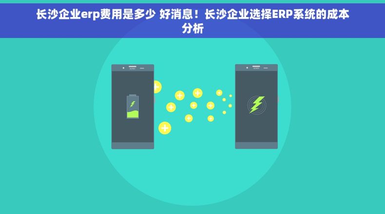 长沙企业erp费用是多少 好消息！长沙企业选择ERP系统的成本分析