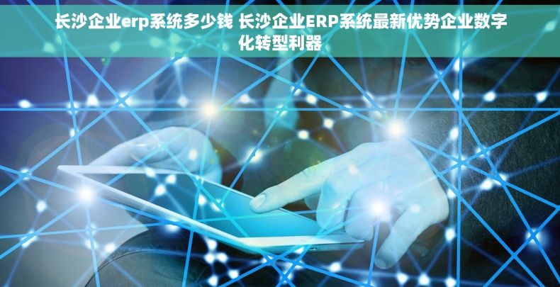 长沙企业erp系统多少钱 长沙企业ERP系统最新优势企业数字化转型利器