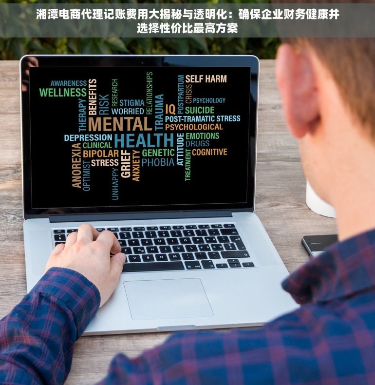 湘潭电商代理记账费用大揭秘与透明化：确保企业财务健康并选择性价比最高方案