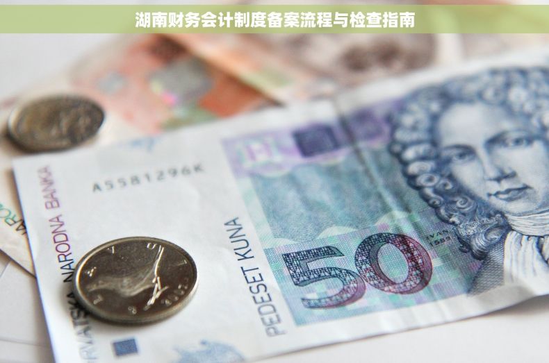 湖南财务会计制度备案流程与检查指南