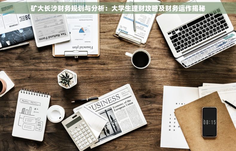 矿大长沙财务规划与分析：大学生理财攻略及财务运作揭秘
