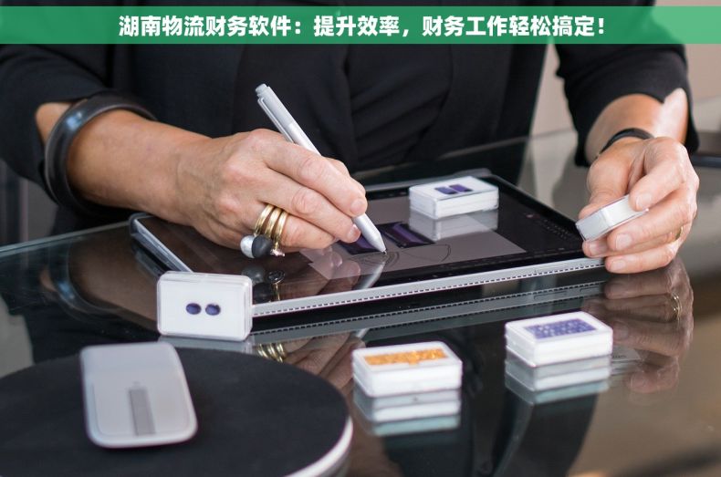湖南物流财务软件：提升效率，财务工作轻松搞定！