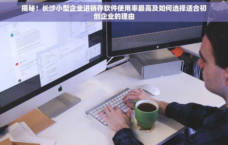 揭秘！长沙小型企业进销存软件使用率最高及如何选择适合初创企业的理由