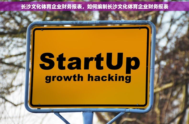 长沙文化体育企业财务报表，如何编制长沙文化体育企业财务报表