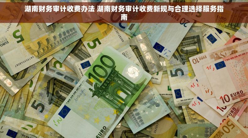 湖南财务审计收费办法 湖南财务审计收费新规与合理选择服务指南