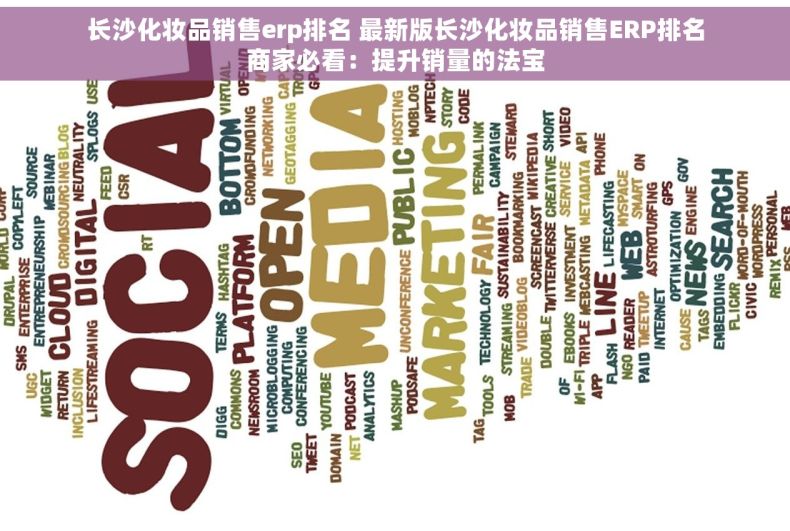 长沙化妆品销售erp排名 最新版长沙化妆品销售ERP排名商家必看：提升销量的法宝