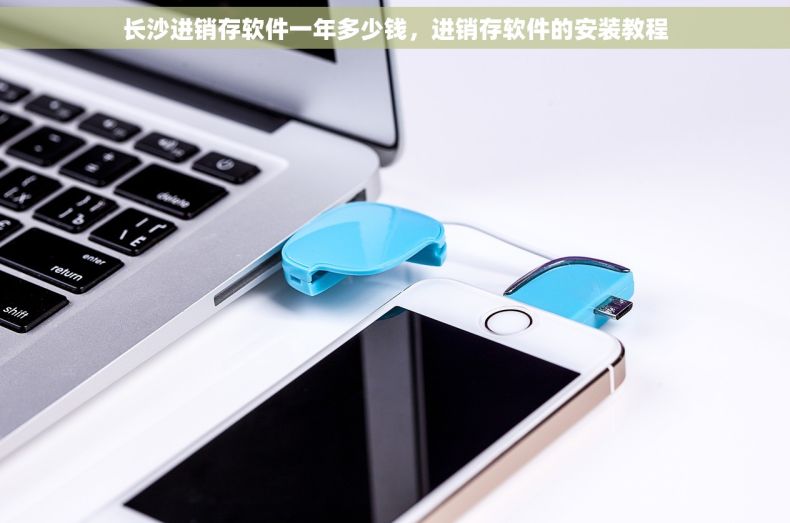 长沙进销存软件一年多少钱，进销存软件的安装教程