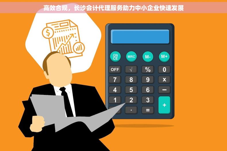 高效合规，长沙会计代理服务助力中小企业快速发展