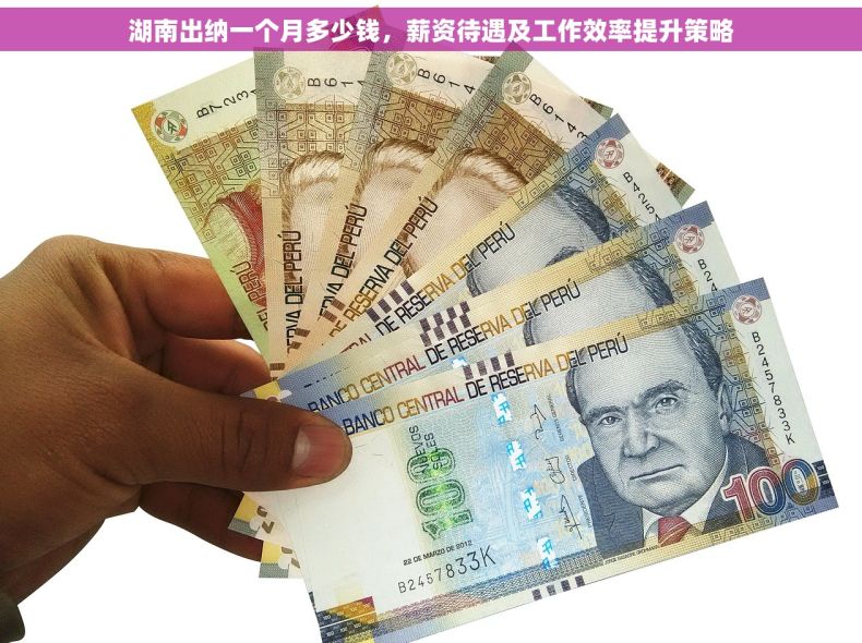 湖南出纳一个月多少钱，薪资待遇及工作效率提升策略