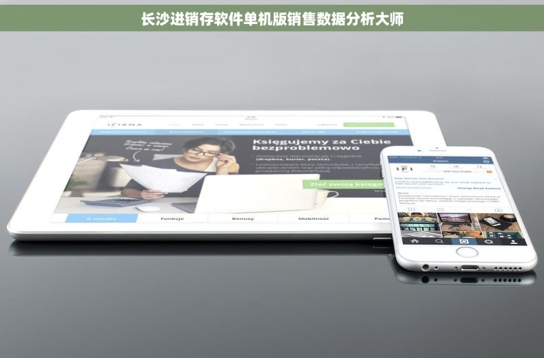 长沙进销存软件单机版销售数据分析大师