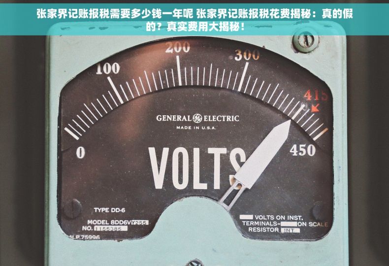 张家界记账报税需要多少钱一年呢 张家界记账报税花费揭秘：真的假的？真实费用大揭秘！
