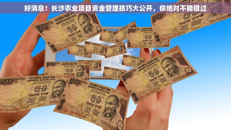 好消息！长沙农业项目资金管理技巧大公开，你绝对不能错过
