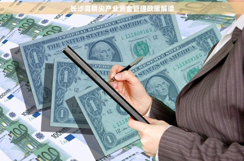 长沙高精尖产业资金管理政策解读