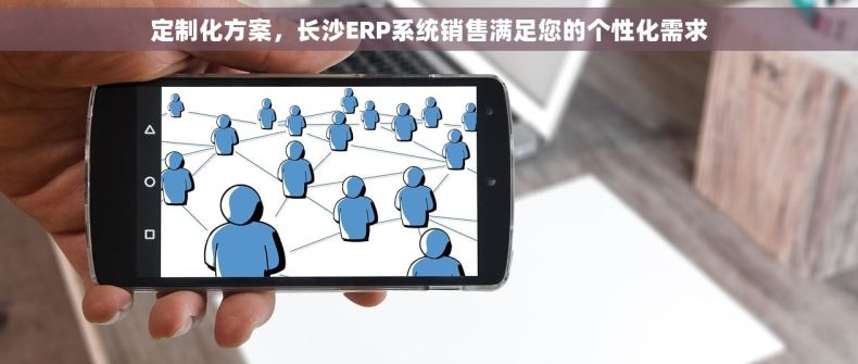 定制化方案，长沙ERP系统销售满足您的个性化需求