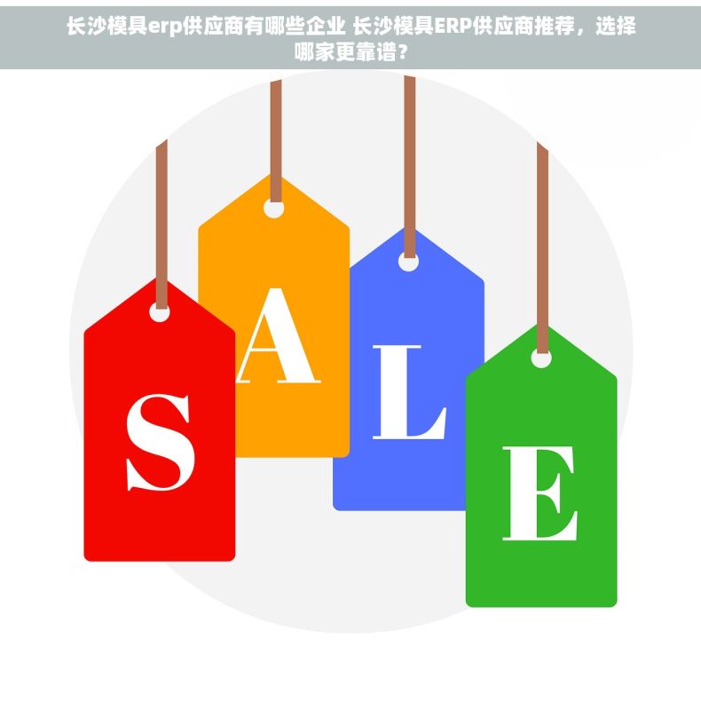 长沙模具erp供应商有哪些企业 长沙模具ERP供应商推荐，选择哪家更靠谱？