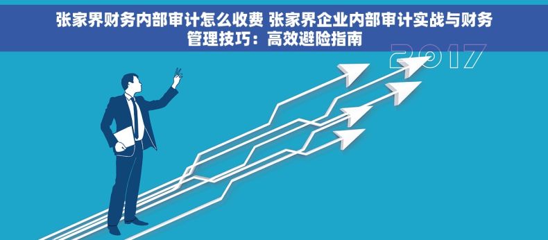 张家界财务内部审计怎么收费 张家界企业内部审计实战与财务管理技巧：高效避险指南