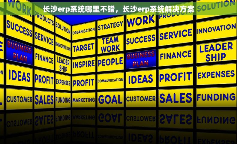 长沙erp系统哪里不错，长沙erp系统解决方案