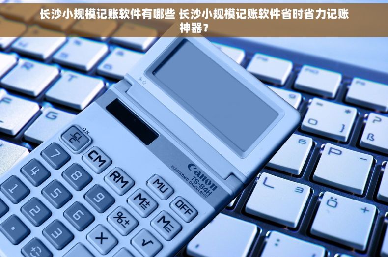 长沙小规模记账软件有哪些 长沙小规模记账软件省时省力记账神器？