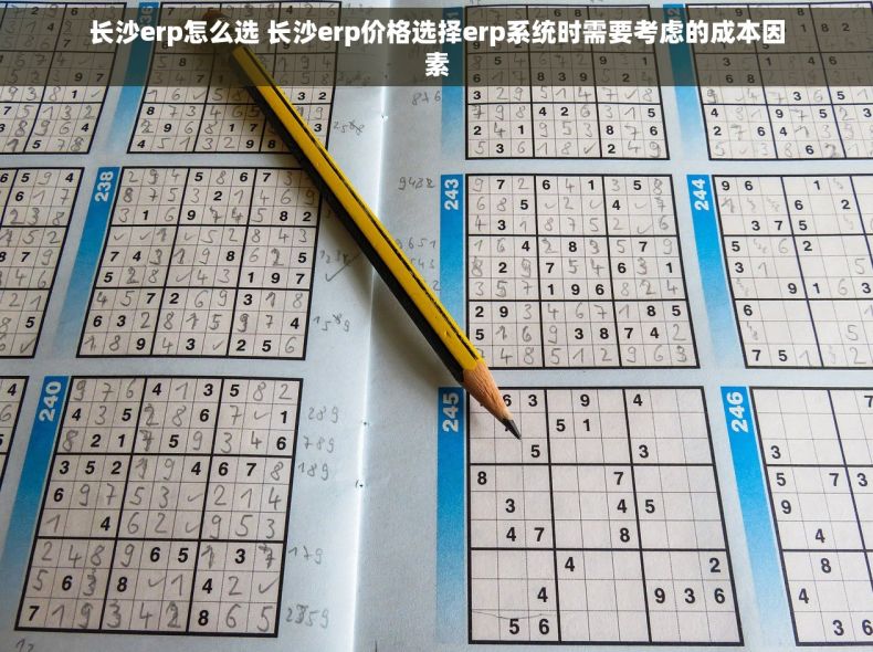 长沙erp怎么选 长沙erp价格选择erp系统时需要考虑的成本因素