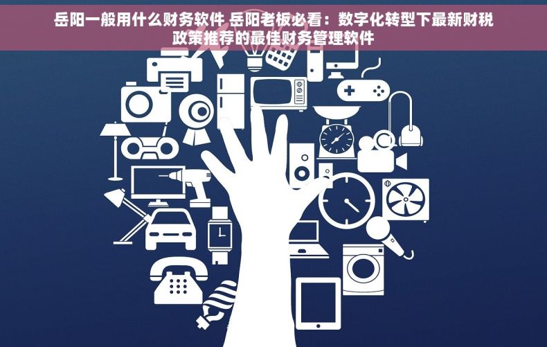 岳阳一般用什么财务软件 岳阳老板必看：数字化转型下最新财税政策推荐的最佳财务管理软件