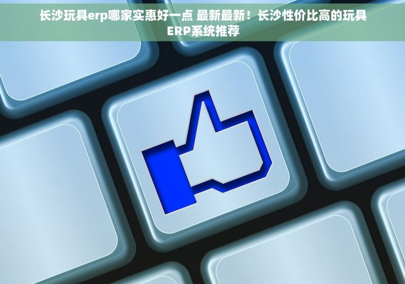 长沙玩具erp哪家实惠好一点 最新最新！长沙性价比高的玩具ERP系统推荐