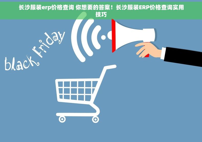 长沙服装erp价格查询 你想要的答案！长沙服装ERP价格查询实用技巧