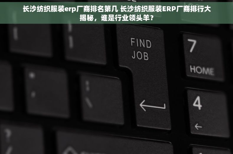 长沙纺织服装erp厂商排名第几 长沙纺织服装ERP厂商排行大揭秘，谁是行业领头羊？
