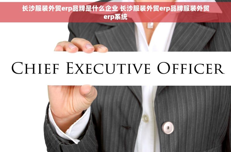 长沙服装外贸erp品牌是什么企业 长沙服装外贸erp品牌服装外贸erp系统