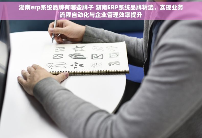 湖南erp系统品牌有哪些牌子 湖南ERP系统品牌精选，实现业务流程自动化与企业管理效率提升