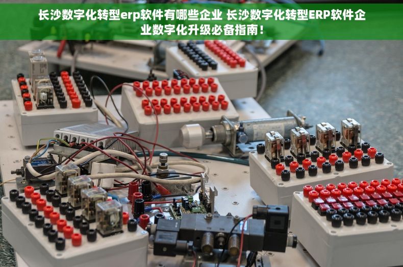 长沙数字化转型erp软件有哪些企业 长沙数字化转型ERP软件企业数字化升级必备指南！