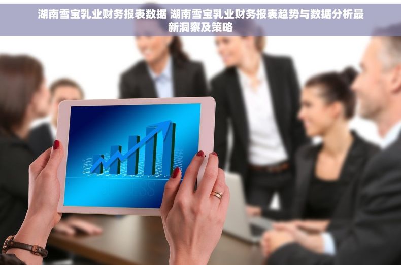 湖南雪宝乳业财务报表数据 湖南雪宝乳业财务报表趋势与数据分析最新洞察及策略