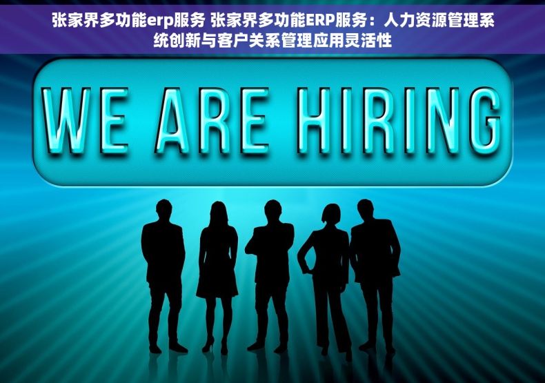 张家界多功能erp服务 张家界多功能ERP服务：人力资源管理系统创新与客户关系管理应用灵活性