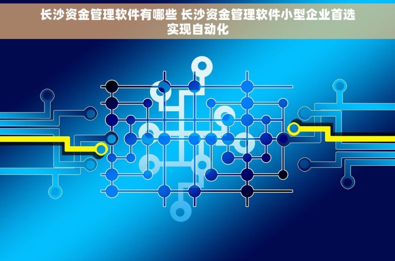 长沙资金管理软件有哪些 长沙资金管理软件小型企业首选实现自动化