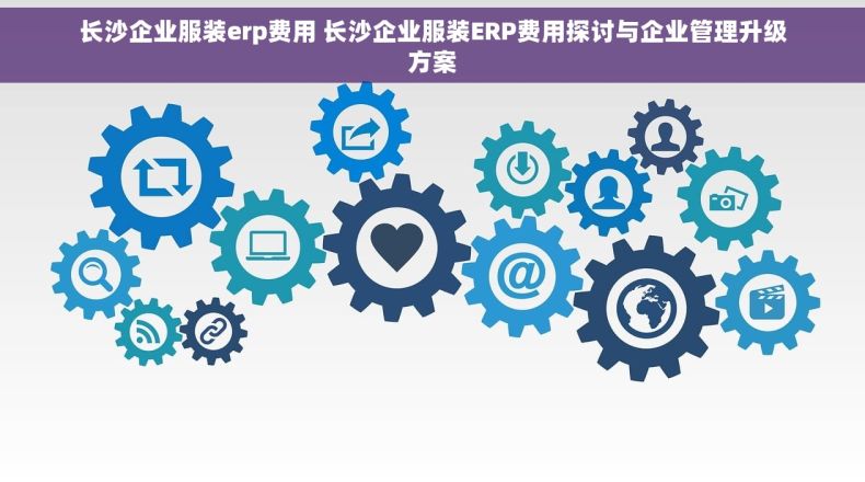 长沙企业服装erp费用 长沙企业服装ERP费用探讨与企业管理升级方案
