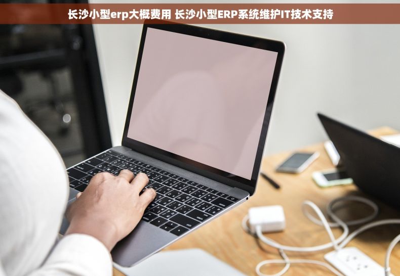 长沙小型erp大概费用 长沙小型ERP系统维护IT技术支持