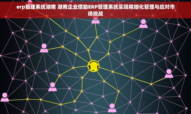 erp管理系统湖南 湖南企业借助ERP管理系统实现精细化管理与应对市场挑战