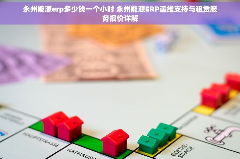 永州能源erp多少钱一个小时 永州能源ERP运维支持与租赁服务报价详解