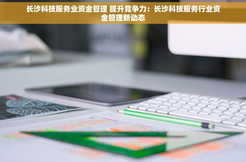 长沙科技服务业资金管理 提升竞争力：长沙科技服务行业资金管理新动态