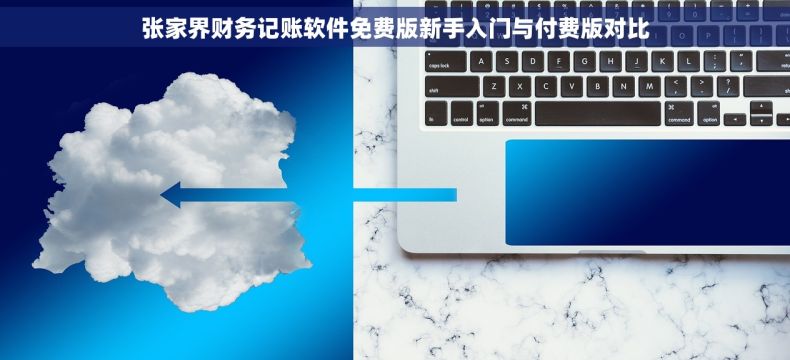 张家界财务记账软件免费版新手入门与付费版对比