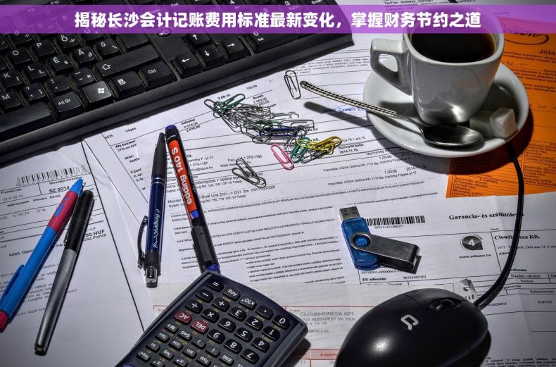 揭秘长沙会计记账费用标准最新变化，掌握财务节约之道